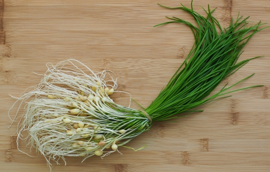 apinchofkorea_dallae